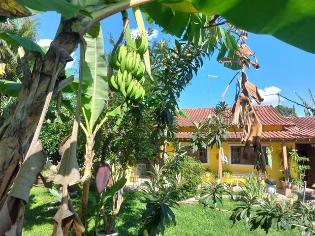 Imagem 13: Sítio para Venda em Cachoeiras de Macacu, Papucaia, 3 dormitórios, 1 suíte, 2
