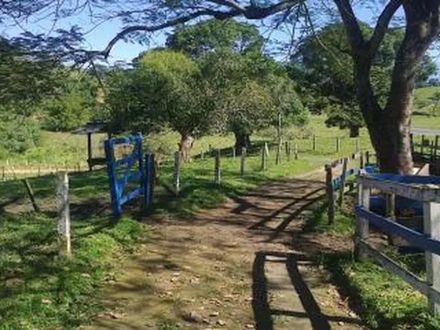 Imagem 13: Sítio para Venda em Cachoeiras de Macacu, Maraporã, 3 dormitórios, 1 suíte, 1