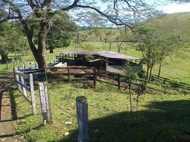 Imagem 16: Sítio para Venda em Cachoeiras de Macacu, Maraporã, 3 dormitórios, 1 suíte, 1