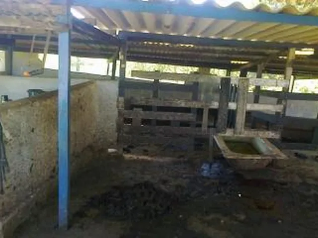 Imagem 14: Sítio para Venda em Cachoeiras de Macacu, Maraporã, 3 dormitórios, 1 suíte, 1
