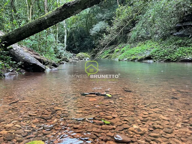 Imagem: CHÁCARA COM RIACHOS E NASCENTES EM CHAPECÓ/SC