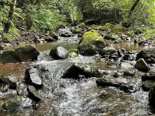 Imagem 4: CHÁCARA COM RIACHOS E NASCENTES EM CHAPECÓ/SC