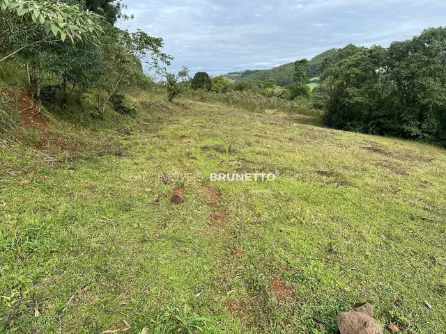 Imagem 6: CHÁCARA COM RIACHOS E NASCENTES EM CHAPECÓ/SC