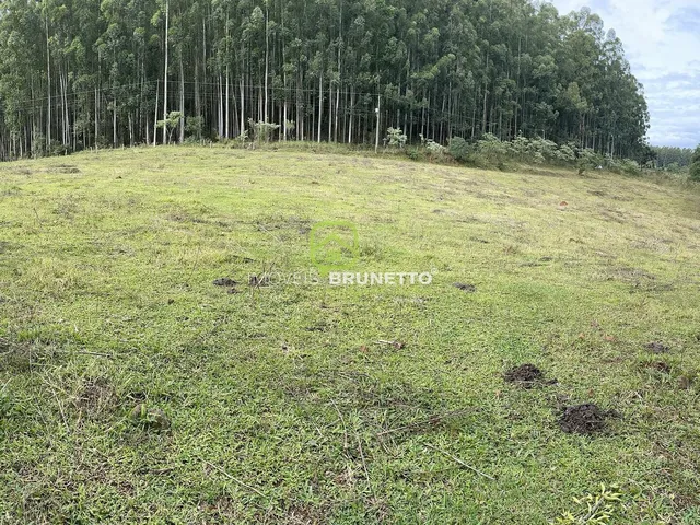 Imagem 5: CHÁCARA COM RIACHOS E NASCENTES EM CHAPECÓ/SC