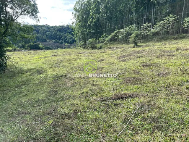 Imagem 2: CHÁCARA COM RIACHOS E NASCENTES EM CHAPECÓ/SC