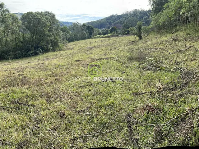 Imagem 7: CHÁCARA COM RIACHOS E NASCENTES EM CHAPECÓ/SC
