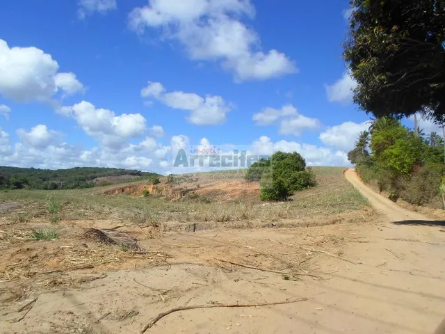 Imagem: Fazenda Nossa Senhora de Fatima e Engenho