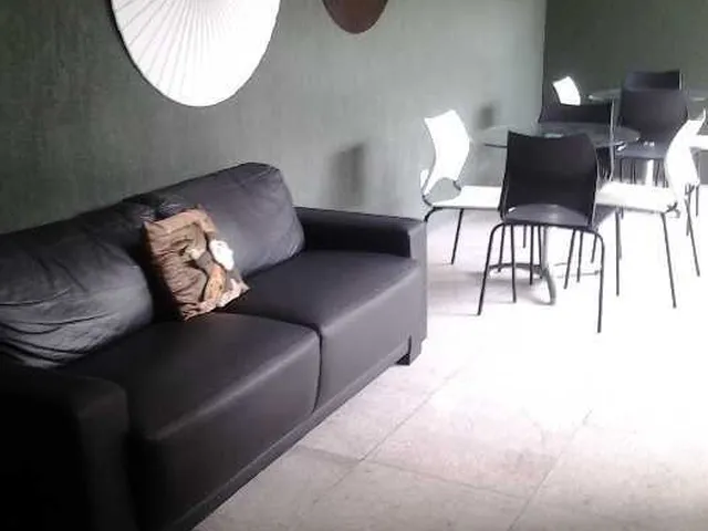 Imagem 4: Apartamento para Locação em Boa Viagem