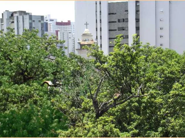 Imagem 12: Apartamento para Locação em Graças