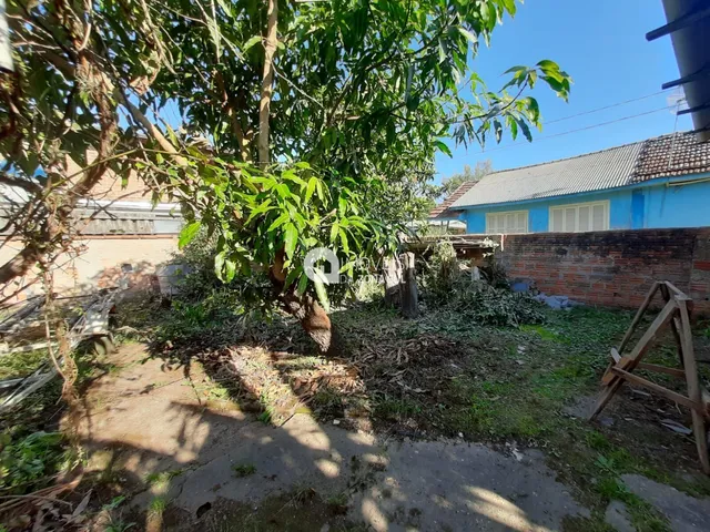 Imagem 8: Casa Térrea de 3 dormitórios para locação no bairro Pronta Grossa