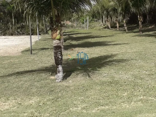 Imagem 10: Chácara em pium - ACEITO PERMUTA . ACEITO PARCELAMENTO PARTICULAR PRÓXIMO AO