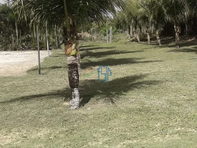 Imagem 4: Chácara em pium - ACEITO PERMUTA . ACEITO PARCELAMENTO PARTICULAR PRÓXIMO AO