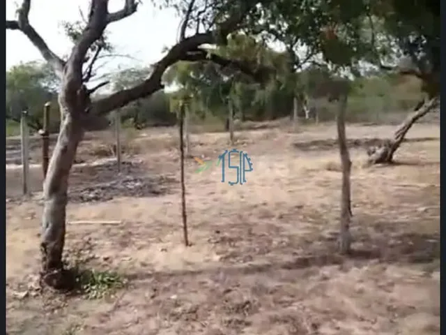Imagem: TERRENO EM NISIA FLORESTA / TERREO COM 4.000