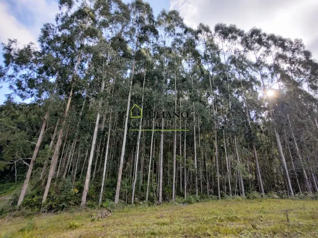 Imagem 4: Terreno À Venda - Rancho Queimado Sc