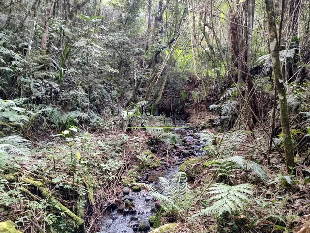 Imagem 10: Terreno À Venda - Rancho Queimado Sc