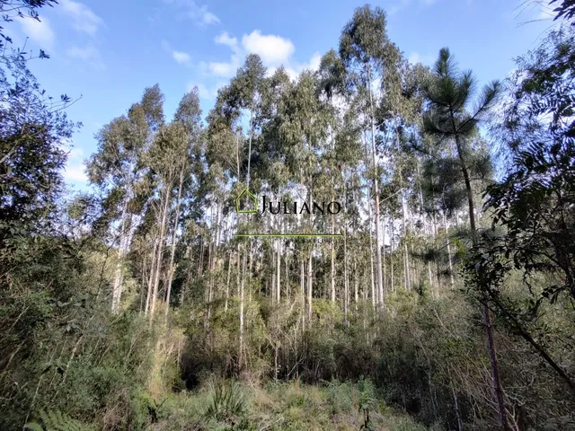 Imagem 11: Terreno À Venda - Rancho Queimado Sc