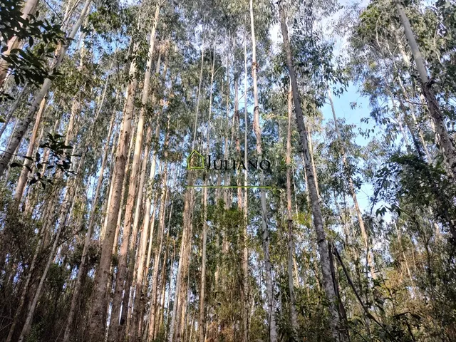 Imagem 12: Terreno À Venda - Rancho Queimado Sc