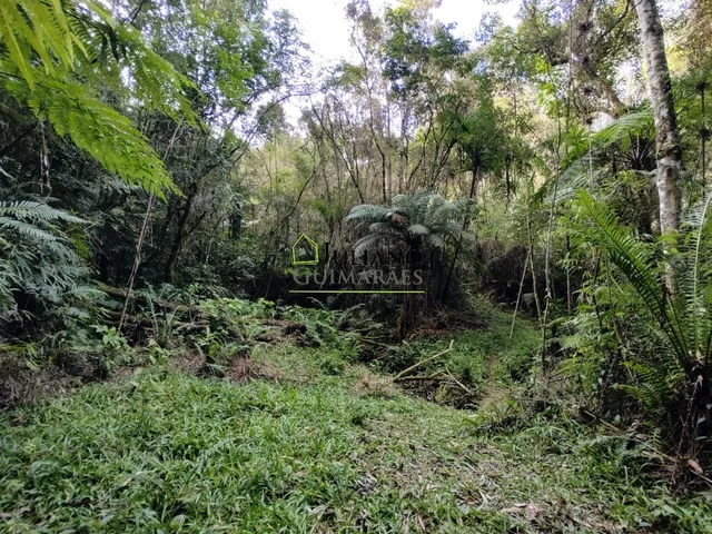 Imagem 13: Terreno À Venda - Rancho Queimado Sc