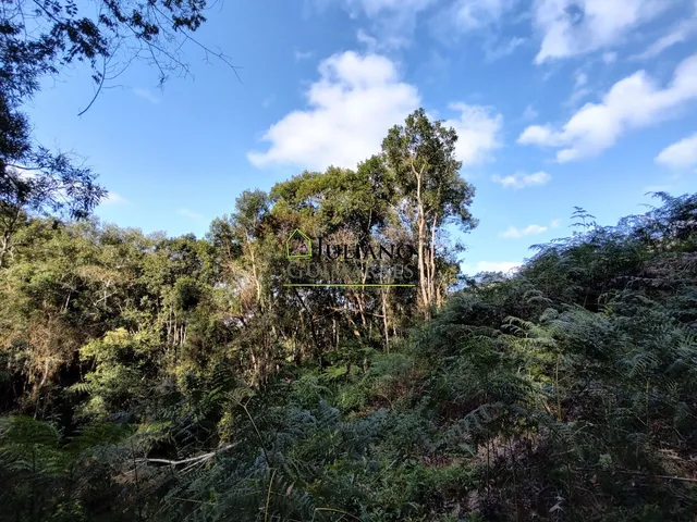 Imagem 15: Terreno À Venda - Rancho Queimado Sc