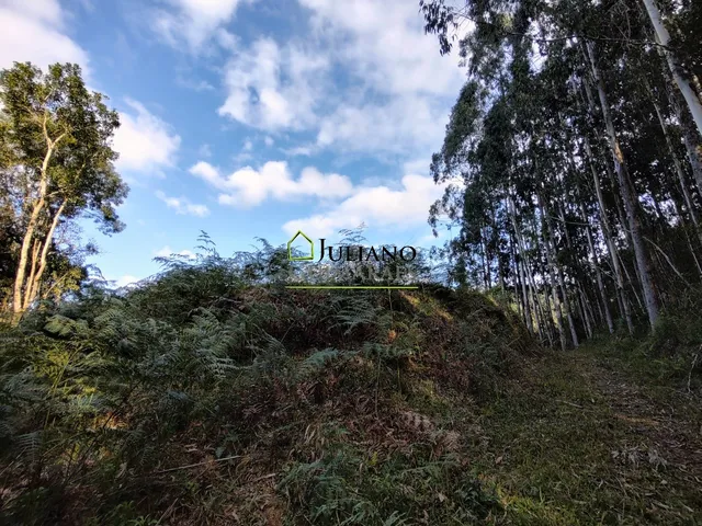 Imagem 16: Terreno À Venda - Rancho Queimado Sc