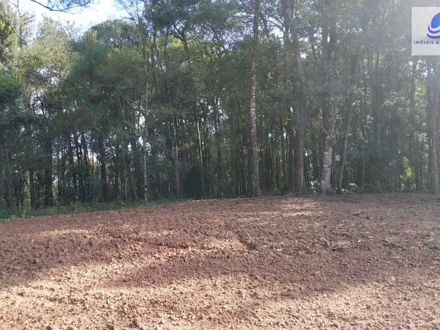 Imagem 16: Chácara pronta para construir