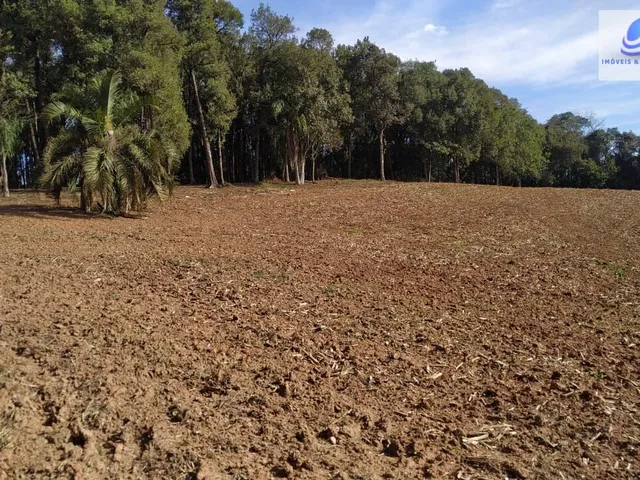 Imagem 11: Chácara pronta para construir