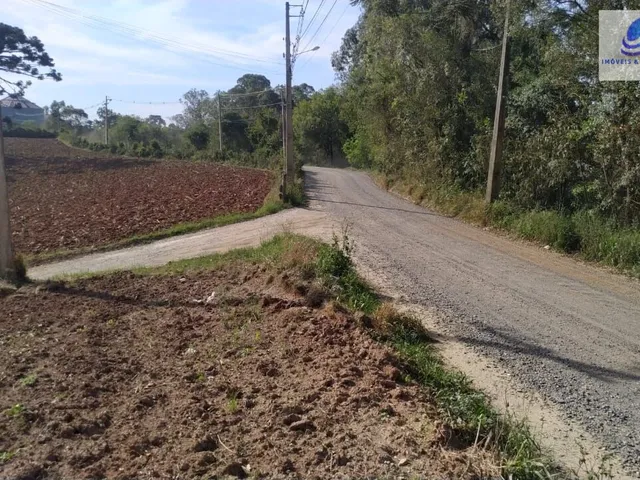 Imagem 9: Chácara pronta para construir