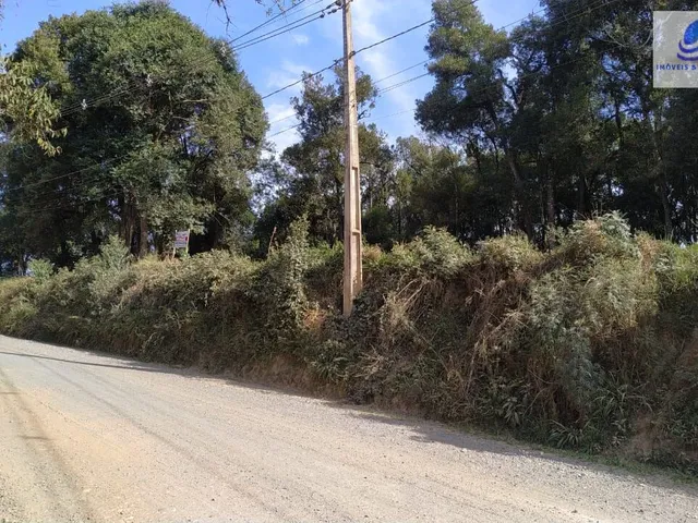 Imagem 4: Chácara pronta para construir