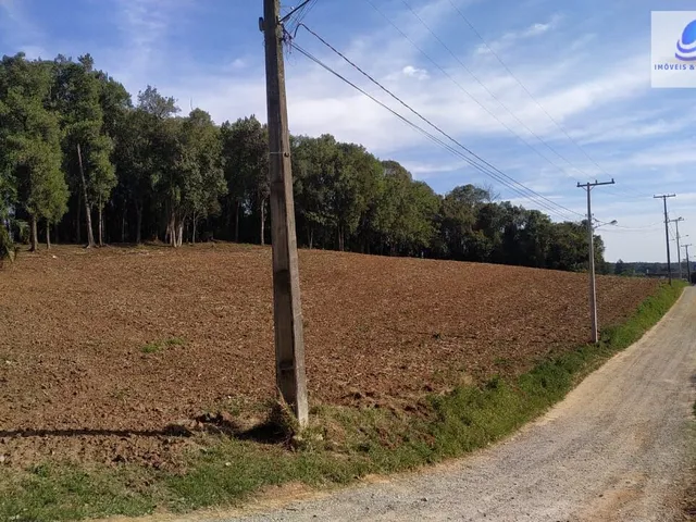 Imagem 3: Chácara pronta para construir