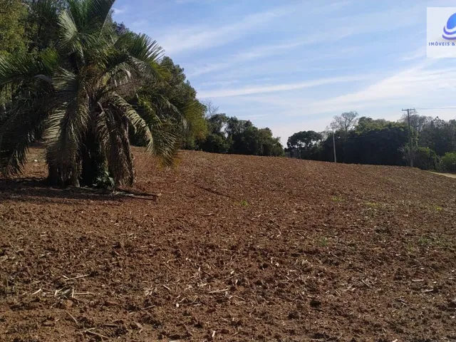 Imagem 2: Chácara pronta para construir