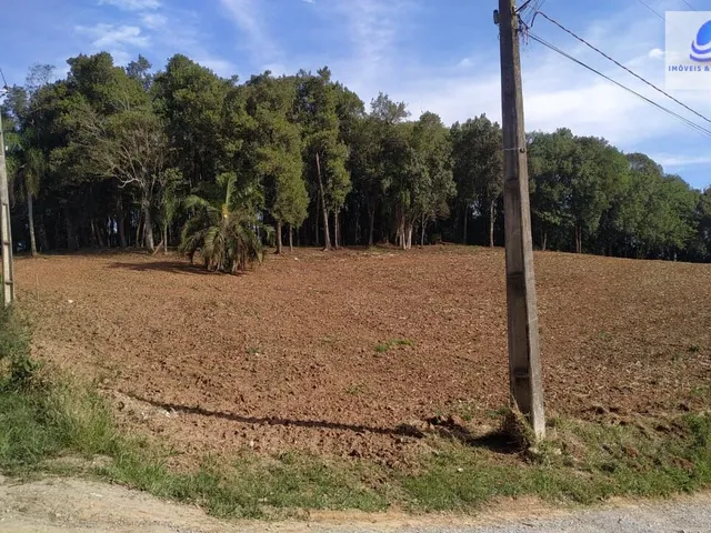 Imagem 5: Chácara pronta para construir