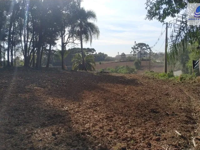 Imagem 7: Chácara pronta para construir