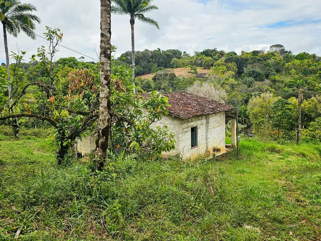 Imagem 11: Fazenda em Jequiriçá, Valença/BA