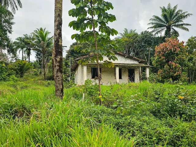Imagem 3: Fazenda em Jequiriçá, Valença/BA