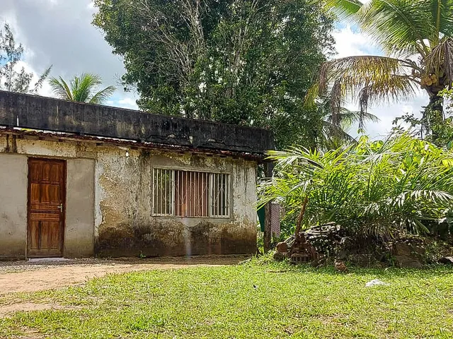 Imagem 15: Fazenda em Jequiriçá, Valença/BA