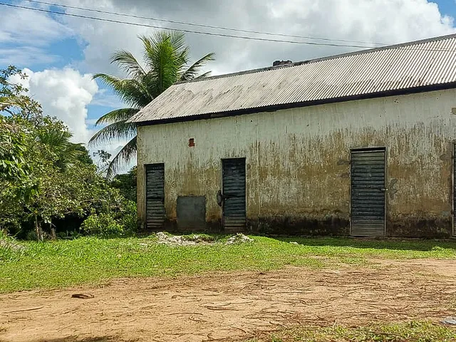Imagem 5: Fazenda em Jequiriçá, Valença/BA