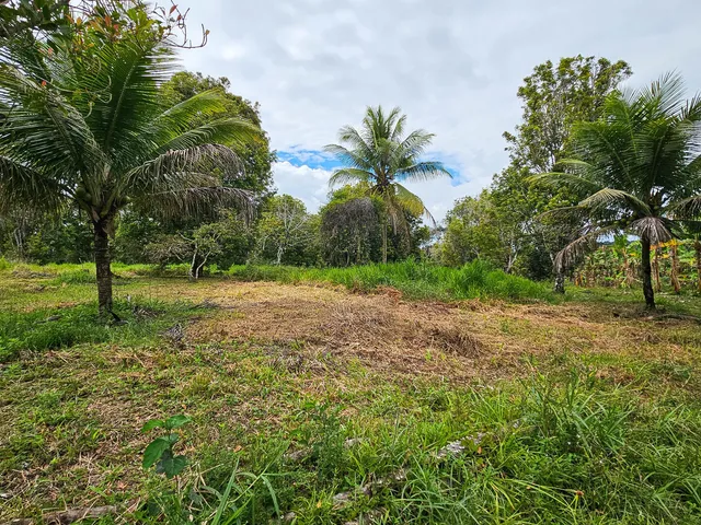 Imagem 6: Fazenda em Jequiriçá, Valença/BA