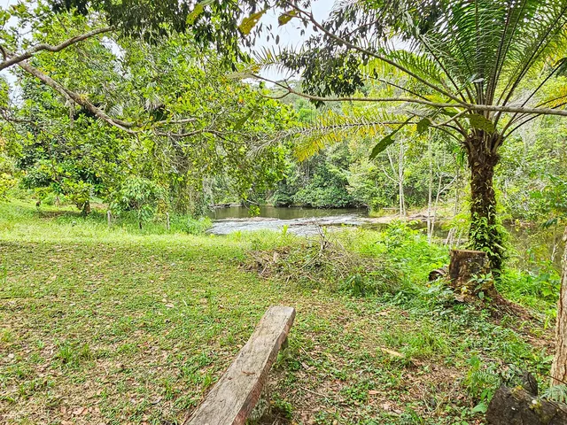 Imagem 16: Fazenda em Jequiriçá, Valença/BA