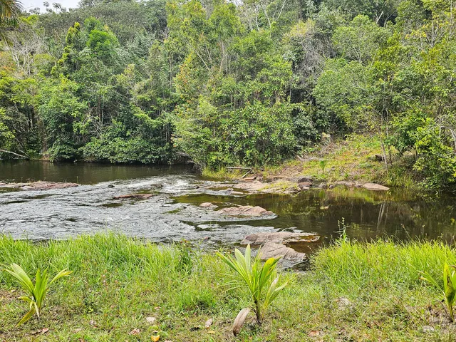 Imagem 13: Fazenda em Jequiriçá, Valença/BA