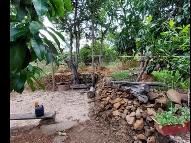 Imagem 12: Rancho à venda no bairro Zona Rural - Araguari/MG