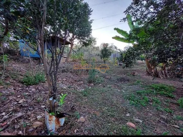 Imagem 16: Rancho à venda no bairro Zona Rural - Araguari/MG