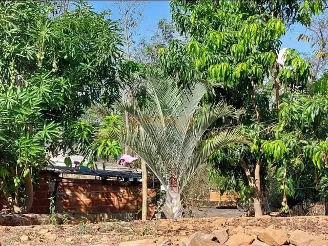 Imagem 11: Rancho à venda no bairro Zona Rural - Araguari/MG
