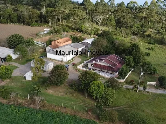 Imagem: Sítio com 15,2 ha. Plantio fumo e criação