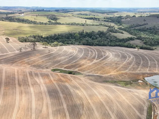Imagem: Sítio/Fazenda À Venda, 87,08 Alqueires