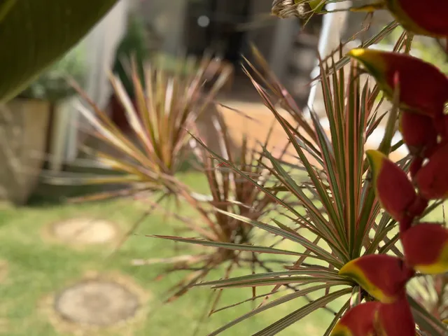 Imagem 3: Casa a Venda no Condomínio Canto da Natureza em Jundiaí-Sp