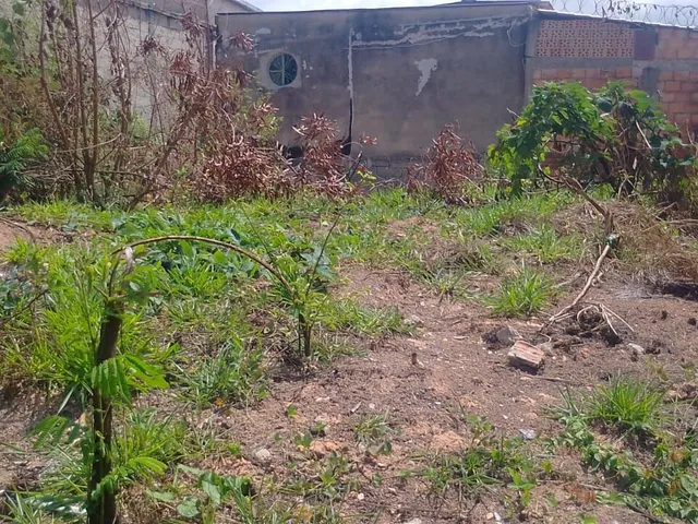 Imagem: Terreno Lote em Florença, Ribeirão das