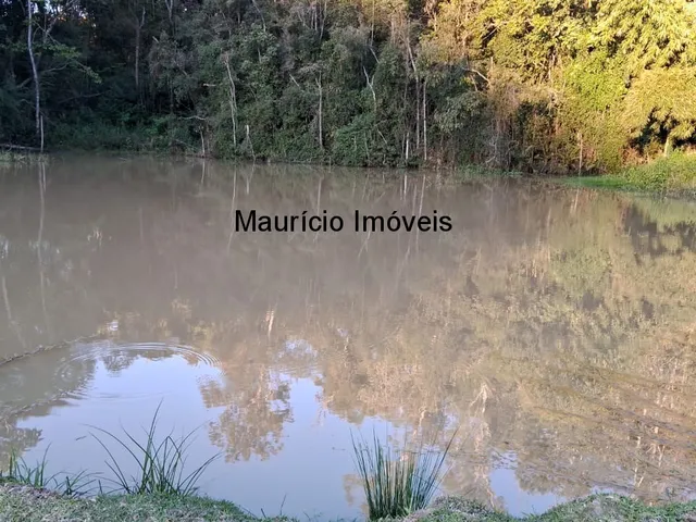 Imagem 3: Sítio com plantio de uvas, 3,4 hectares, Chapadão do Lageado, S.C. com casa mista 3