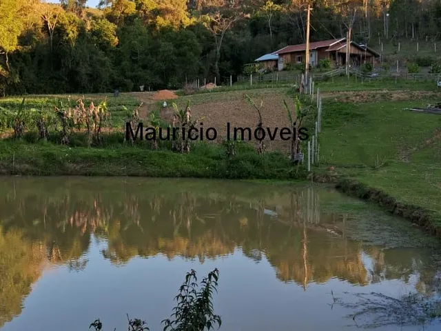 Imagem 7: Sítio com plantio de uvas, 3,4 hectares, Chapadão do Lageado, S.C. com casa mista 3