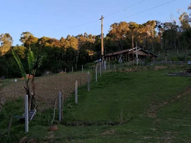 Imagem 4: Sítio com plantio de uvas, 3,4 hectares, Chapadão do Lageado, S.C. com casa mista 3