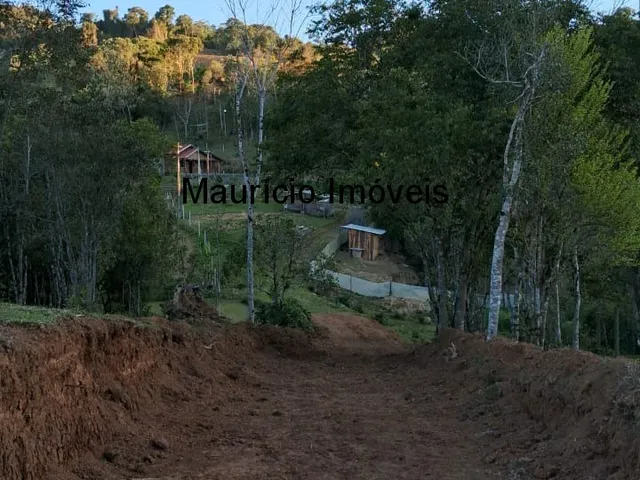 Imagem 6: Sítio com plantio de uvas, 3,4 hectares, Chapadão do Lageado, S.C. com casa mista 3